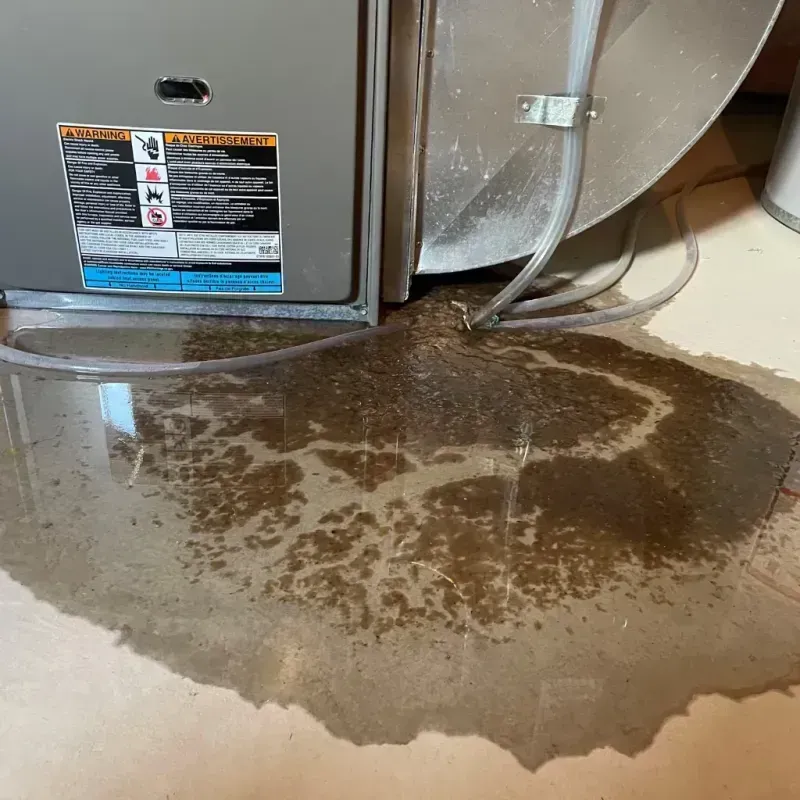 Appliance Leak Cleanup in Powell County, MT